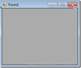 Form'a DataGridView eklenmesi.